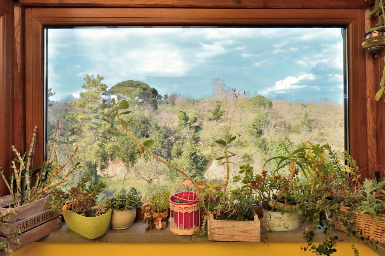 La Casetta Della Nonna Bagnoregio Extérieur photo