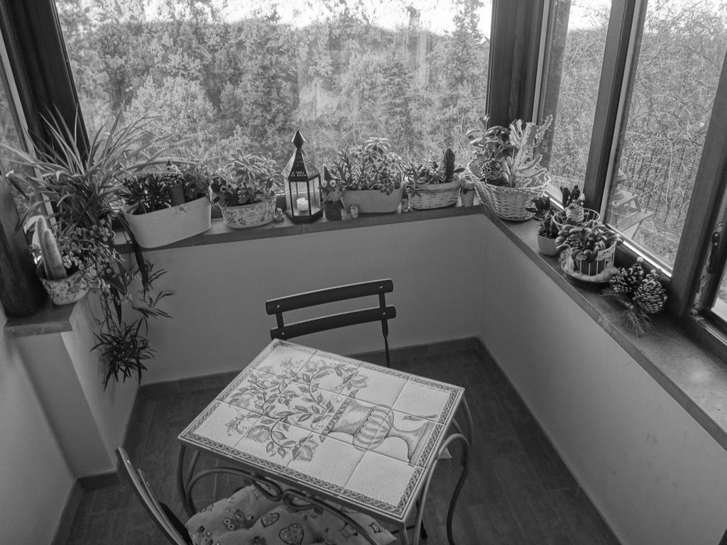 La Casetta Della Nonna Bagnoregio Chambre photo
